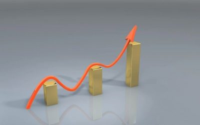Classement 2020 des plus grandes entreprises de France
