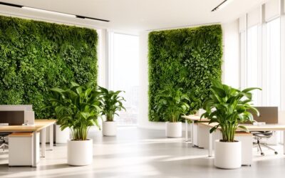 Comment aménager vos bureaux avec une entreprise experte en végétalisation